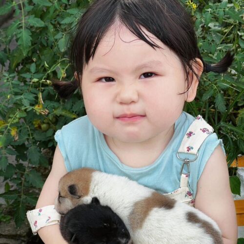 微信图片_20260325181422_4_8 150*300D POLYESTER TWILL OXFORD ANTI-STATIC RIPSTOP 0.7CM*0.7CM